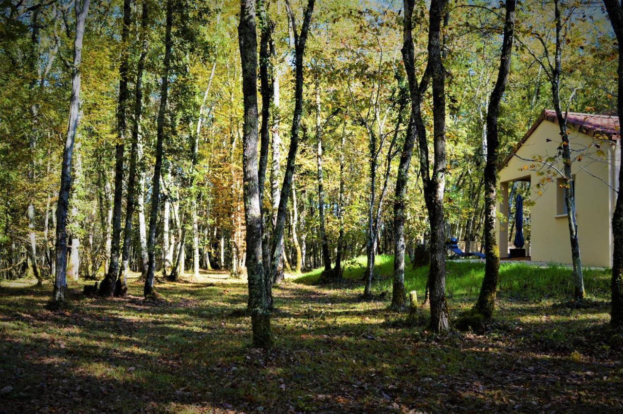 Gite Spa & Nature Saint-Chamassy ภายนอก รูปภาพ